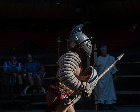 20220627 aa 12,208996,Romans amd Gladiators 208996 ,c