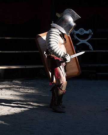 20220701 aa 52,209290,Romans and Gladiators 209290 ,c