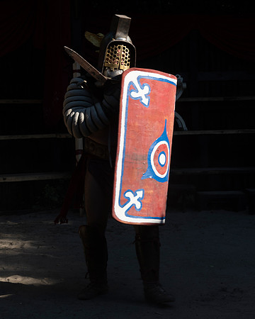 20220629 aa 32,209301,Romans and Gladiators 209301 ,c