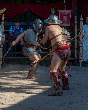20220628 aa 21,209066,Romans and Gladiators 209066 ,c