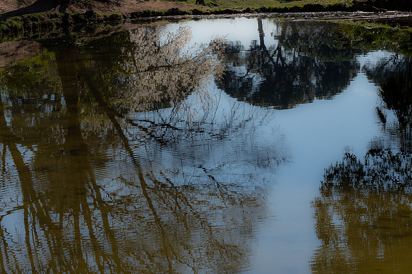 20221122 aa 22,202382,Dear Reflections ,c