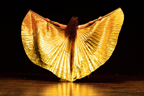 p,20221018 aa 21,216258,Lovely Golden Wings ,c