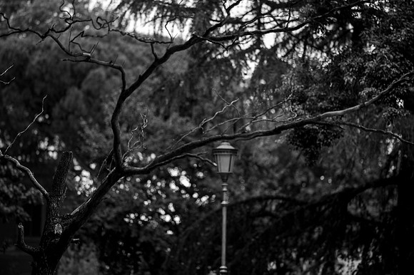 p,20220927 aa 24,196714,Our Park ,b