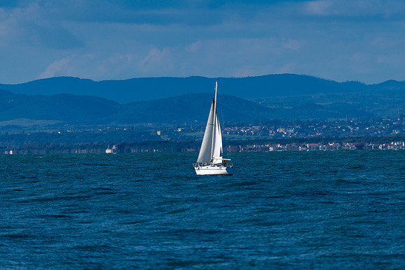 20230130 aa 11,203110,White Sails ,c