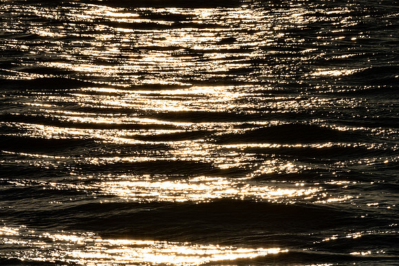 20230131 aa 22,203251,Golden Waves ,c