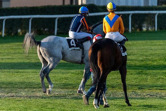 20220414 a 42,202530,Horses and Riders 42 ,c