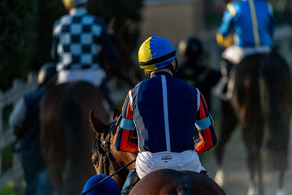 20220412 a 22,202492,Horses and Riders 22 ,c
