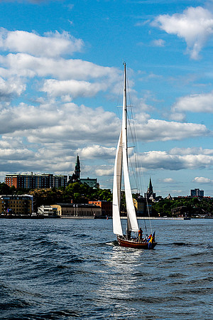 White Sails