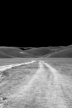 Trails
