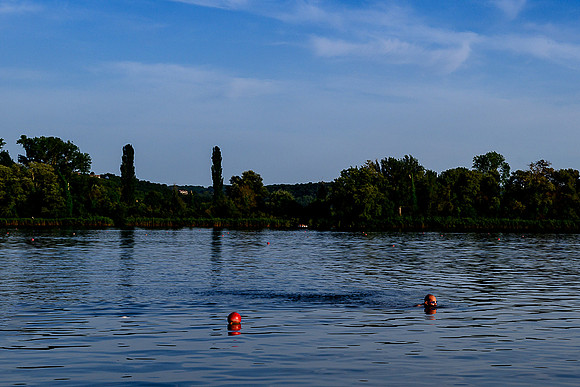 Late Afternoon