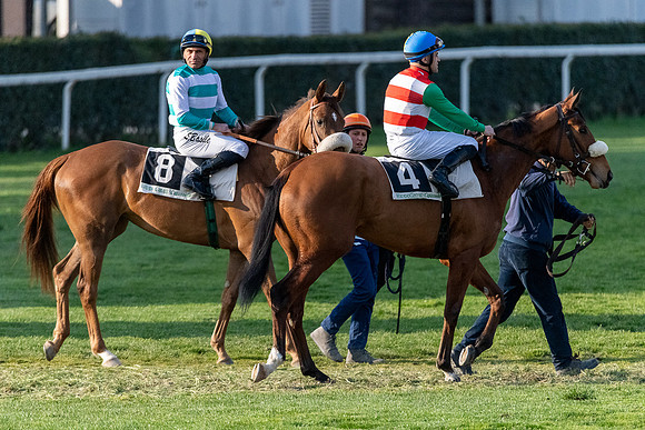 20220413 a 31,202443,Horses and Riders 31 ,c