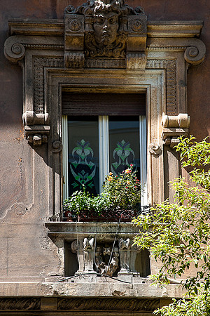 Roses and Window