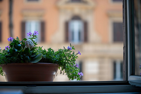20230418 aa 22,208130,My Lovely Tiny Flowers 208130 ,c