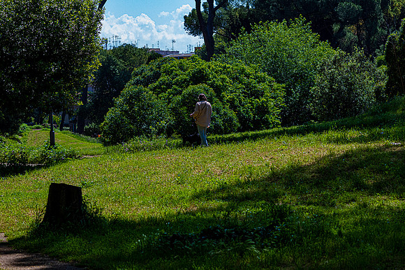 20230620 aa 21,256711,Alone in the Park ,c
