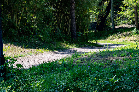 20230622 aa 42,256722,Return Path ,c