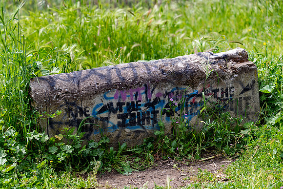 20230904 aa 12,225113,Graffiti ,c