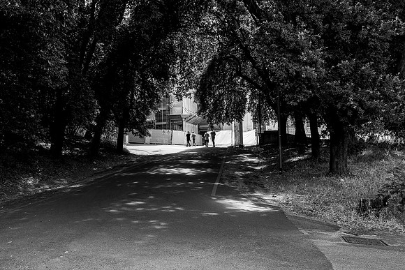 20230529 s 13,193378,s