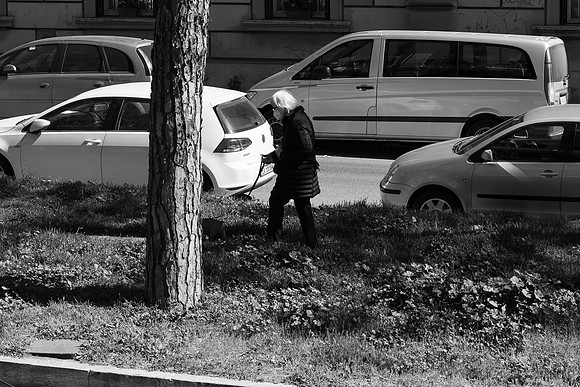 20230710 s 13,204201,s