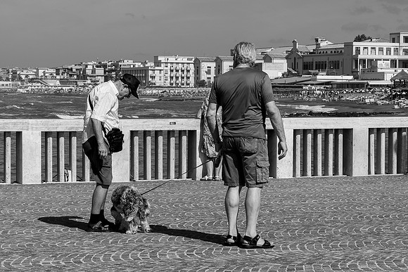 20230727 s 41,194105,s