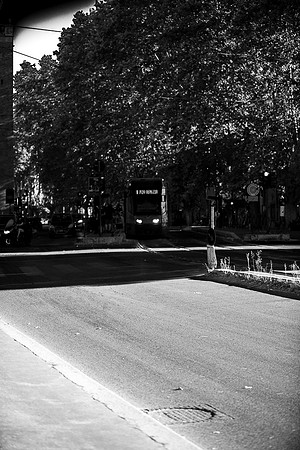 p,20230421 aa 53,209885,Our Tram Arrives ,b
