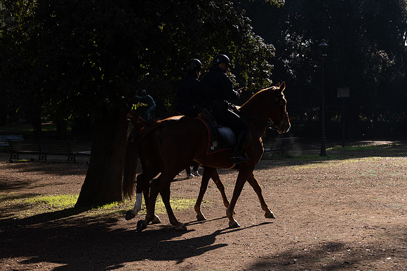p,20230328 aa 21,202092,Mounted Policemen ,c