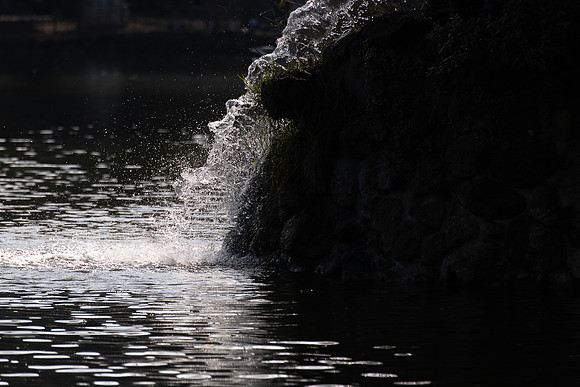 p,20230327 aa 11,201913,Silver Waterfall ,c