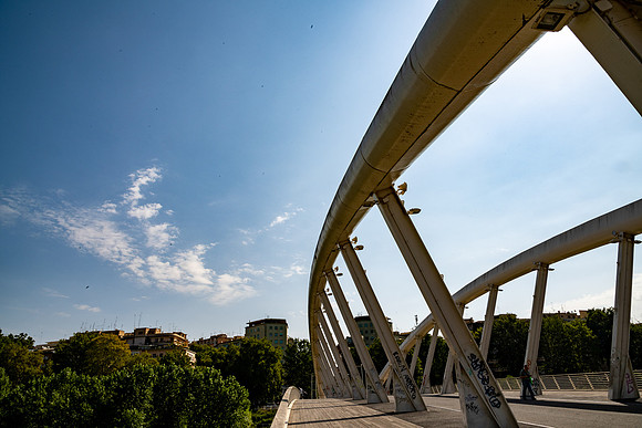 p,20230322 aa 31,196079,Bridge Flanks ,c