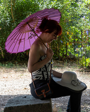 20230929 aa 51,195790r,The Pause ,c