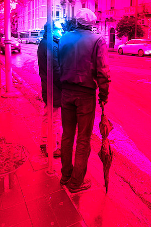 Bus Stop