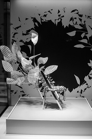 Leaves and Chair