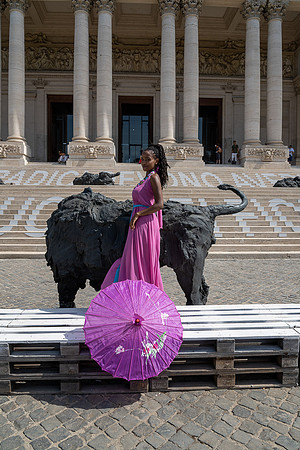 Lions Queen