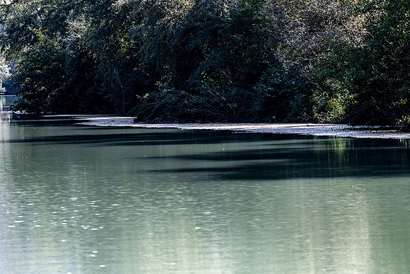 20231012 aa 42,260636,Lovely River ,c