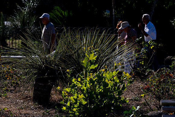 20231016 aa 12,260067,Our Precious Garden ,c
