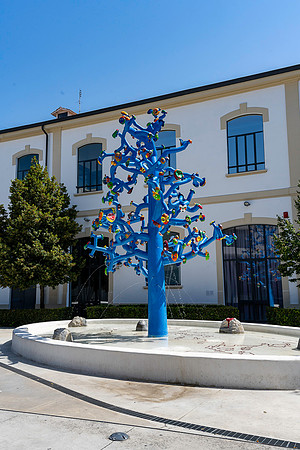20231106 aa 11,259793,That Blue Magic Tree ,c