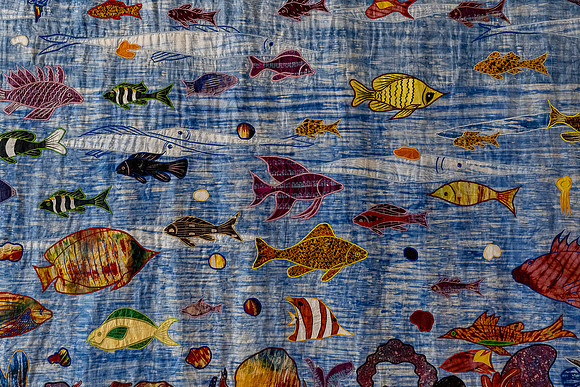 20231107 aa 21,259819,Fishes ,c