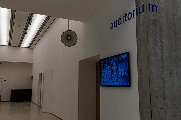 20231108 aa 32,259807,Auditoriu m ,c