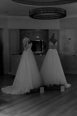 20231027 aa 54,196583,Two Brides ,b