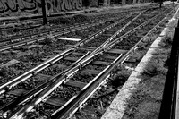 20231102 aa 43,260383,Parallel Lines ,b