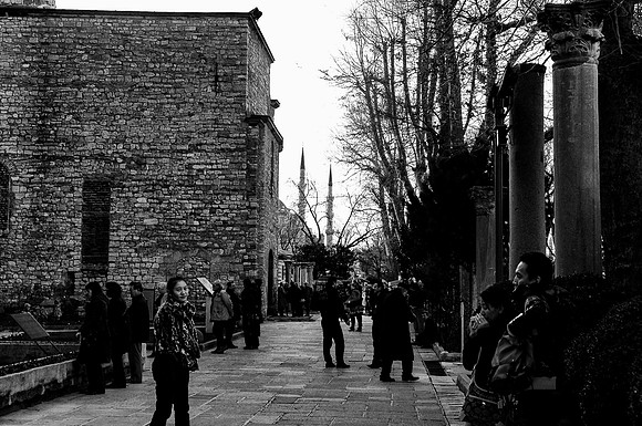 p,20220323 s 34,DSC_3530,s