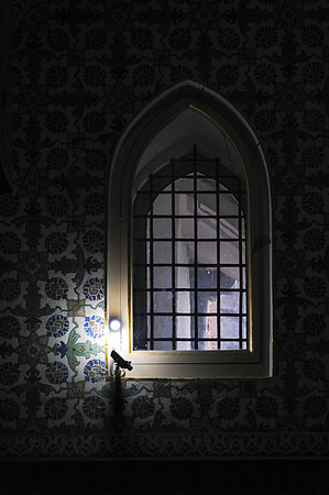 20211029 a 52,DSC_3794,Misterious and Lovely Window ,c