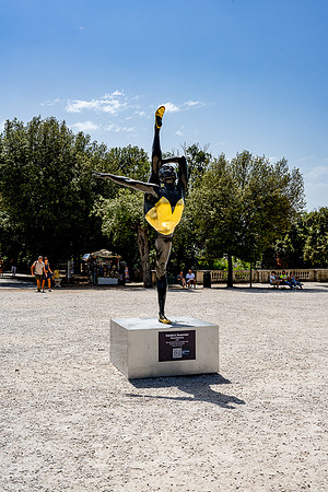20211110 a 31,193986,Golden Dancer ,c
