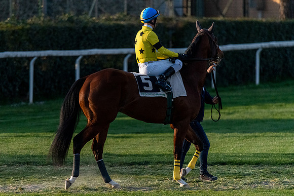 20220413 a 32,202516,Horses and Riders 32 ,c