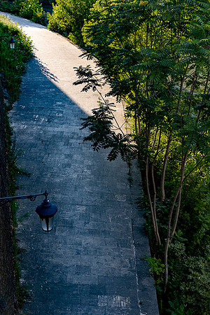 20211206 a 12,193476,The Curve ,c