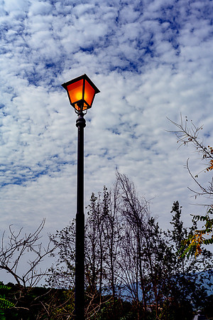 p,20220207 a 31,185419,Almost Evening ,c