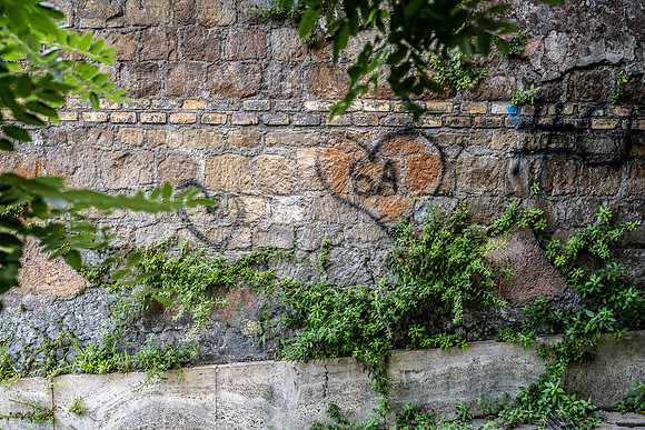 p,20211116 a 21,193397,Hearts ,c