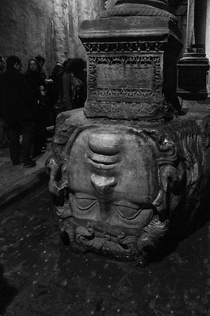 p,20211026 a 24,DSC_3347,The Medusa ,b