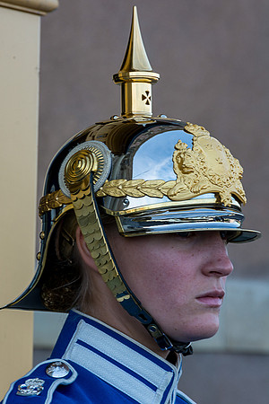 Lovely Swedish Sentinel