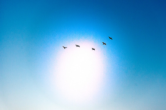 Freedom