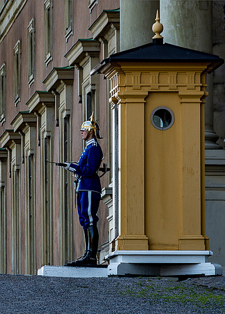 Lady Sentinel