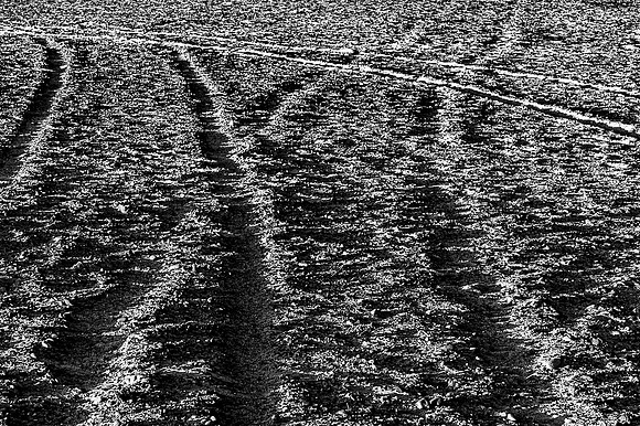 Trails
